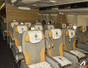 12039279_10153680486866450_3084140543422758088_n