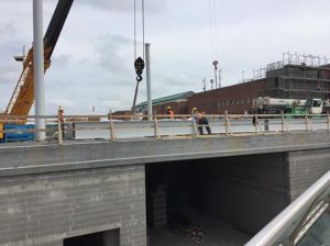 12963529_10209376149387199_8760248806454306981_n