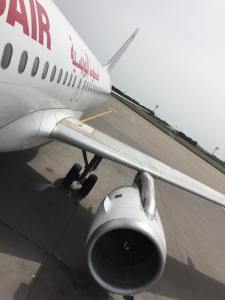 13062086_10209414440784460_527229499939267461_n