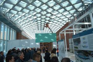 15039598_10211221546040962_7644680021552908144_o