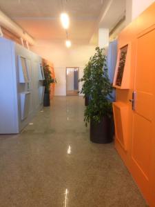 15977867_1880700845544904_2075366169650859243_n