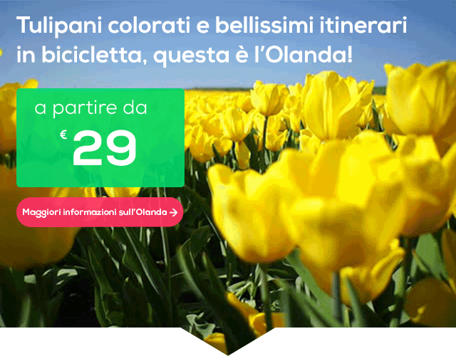 week09_it_nederland_v5_4