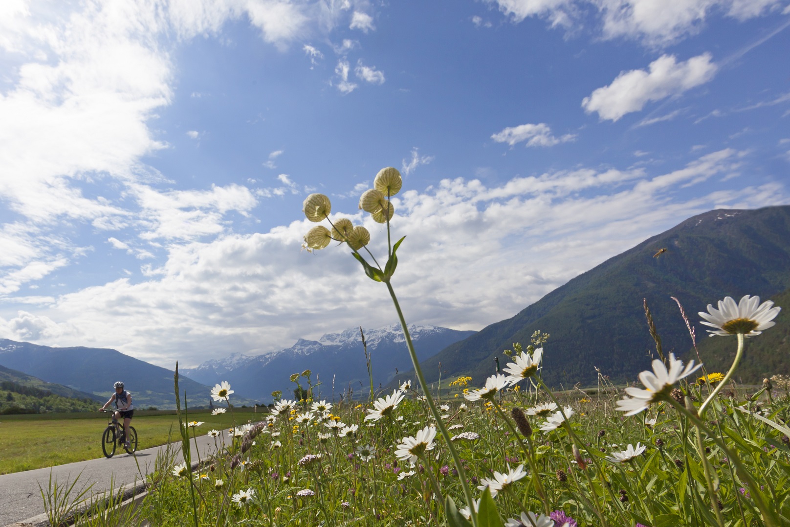 Moglia - Wikivoyage, guida turistica di viaggio, image size:1616x1077